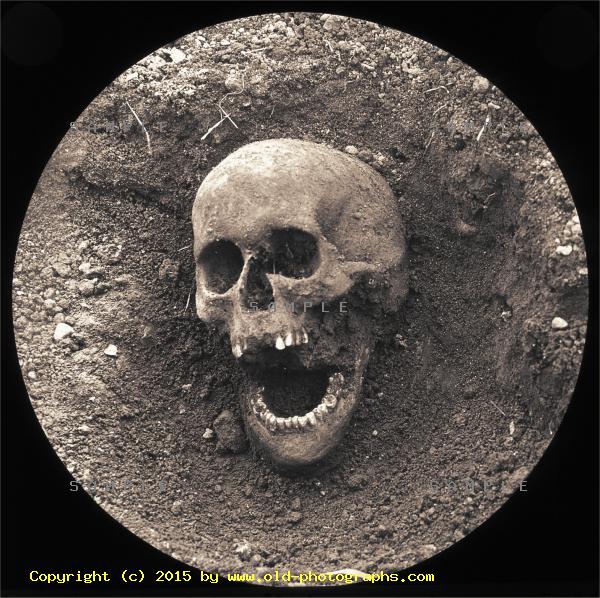 Cockersand Abbey - Skull